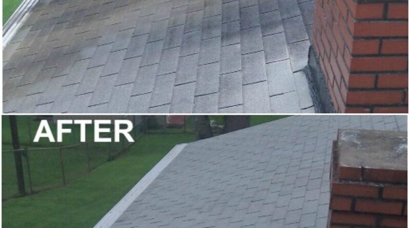 Roof Cleaning Cost in Florida